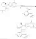 Fig. 285 - COMPOUNDS AND METHODS FOR ANTIVIRAL TREATMENT