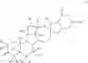 Fig. 08 - Transfer hydrogenation of cyclopamine analogs
