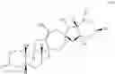 Fig. 95 - Transfer hydrogenation of cyclopamine analogs