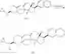Fig. 147 - Cortistatin analogues and syntheses and uses thereof