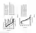 Fig. 21 - Cortistatin analogues and syntheses and uses thereof