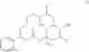 Fig. 03 - NEOSORAPHENS