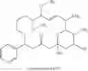 Fig. 13 - NEOSORAPHENS