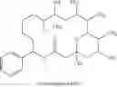 Fig. 15 - NEOSORAPHENS