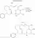 Fig. 17 - NEOSORAPHENS