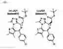 Fig. 02 - Compositions and Methods for Treating Neoplasia, Inflammatory Disease and Other Disorders