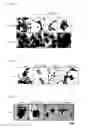Fig. 07 - Compositions and Methods for Treating Neoplasia, Inflammatory Disease and Other Disorders