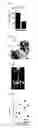 Fig. 13 - Compositions and Methods for Treating Neoplasia, Inflammatory Disease and Other Disorders