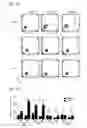 Fig. 19 - Compositions and Methods for Treating Neoplasia, Inflammatory Disease and Other Disorders