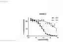 Fig. 23 - Compositions and Methods for Treating Neoplasia, Inflammatory Disease and Other Disorders
