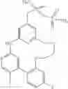 Fig. 165 - Macrocyclic compounds