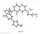 Fig. 03 - Polymorphic forms and co-crystals of a c-Met inhibitor