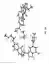 Fig. 16 - Polymorphic forms and co-crystals of a c-Met inhibitor