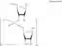 Fig. 33 - METHODS FOR THE SYNTHESIS OF FUNCTIONALIZED NUCLEIC ACIDS