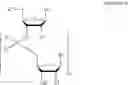 Fig. 69 - METHODS FOR THE SYNTHESIS OF FUNCTIONALIZED NUCLEIC ACIDS