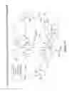 Fig. 43 - Peptides whose uptake by cells is controllable