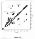 Fig. 47 - Peptides whose uptake by cells is controllable