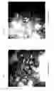 Fig. 06 - PCV2 ORF2 protein variant and virus like particles composed thereof