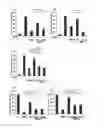 Fig. 06 - POLYPEPTIDE AND ANTI-TUMOR AGENT