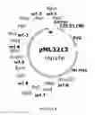 Fig. 06 - MSP nanopores and uses thereof
