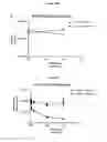 Fig. 25 - Fusion molecules