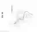 Fig. 06 - High molecular weight, post-translationally modified protein brushes