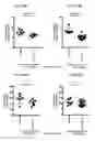 Fig. 49 - Modified FGF-21 polypeptides comprising an internal deletion and uses thereof