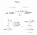 Fig. 05 - Compounds that bind to the erythropoietin receptor
