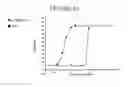 Fig. 11 - Compounds that bind to the erythropoietin receptor