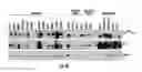 Fig. 07 - Isolated T cell receptors and methods of use therefor