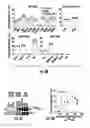Fig. 08 - Isolated T cell receptors and methods of use therefor