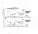 Fig. 08 - Human Antibodies that Bind Human TNF-Alpha and Methods of Preparing the Same