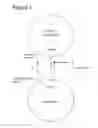 Fig. 02 - Anti-PVRIG antibodies and methods of use