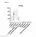 Fig. 04 - Anti-PVRIG antibodies and methods of use