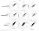 Fig. 15 - Anti-PVRIG antibodies and methods of use