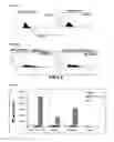 Fig. 19 - Anti-PVRIG antibodies and methods of use