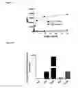 Fig. 26 - Anti-PVRIG antibodies and methods of use