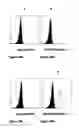 Fig. 34 - Anti-PVRIG antibodies and methods of use