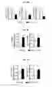 Fig. 09 - Reducing systemic regulatory T cell levels or activity for treatment of disease and injury of the CNS