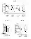 Fig. 10 - Reducing systemic regulatory T cell levels or activity for treatment of disease and injury of the CNS