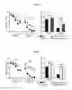 Fig. 11 - Reducing systemic regulatory T cell levels or activity for treatment of disease and injury of the CNS