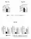 Fig. 12 - Reducing systemic regulatory T cell levels or activity for treatment of disease and injury of the CNS