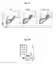 Fig. 14 - Reducing systemic regulatory T cell levels or activity for treatment of disease and injury of the CNS