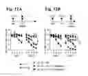 Fig. 19 - Reducing systemic regulatory T cell levels or activity for treatment of disease and injury of the CNS