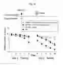 Fig. 22 - Reducing systemic regulatory T cell levels or activity for treatment of disease and injury of the CNS