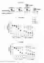 Fig. 23 - Reducing systemic regulatory T cell levels or activity for treatment of disease and injury of the CNS