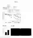 Fig. 25 - Reducing systemic regulatory T cell levels or activity for treatment of disease and injury of the CNS