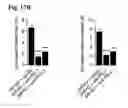 Fig. 26 - Reducing systemic regulatory T cell levels or activity for treatment of disease and injury of the CNS