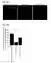 Fig. 32 - Reducing systemic regulatory T cell levels or activity for treatment of disease and injury of the CNS