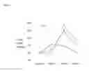 Fig. 08 - Administration of bimagrumab for improving muscle mass and function after hip fracture surgery